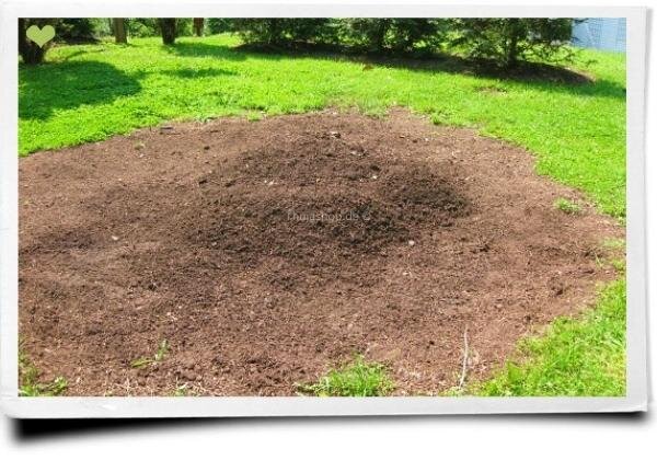 "Bindige Böden sollte man zu je einem Drittel mit gut abgelagertem Kompost mischen. Sandige Böden werden mit je einem Drittel Kompost und Torf oder Rinde verbessert."