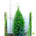 Riesenlebensbaum "Martin" | 120-140cm | Ballenware (von Sept. bis Mai)